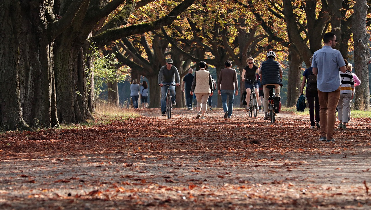 The Role of Public Parks in Sustainable Living